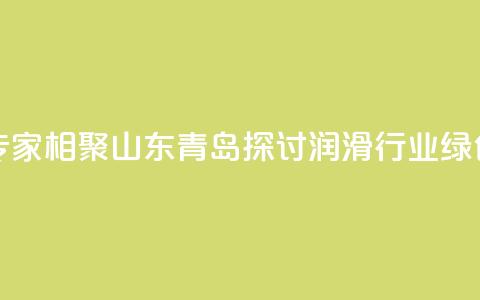 业界专家相聚山东青岛探讨润滑行业绿色发展  第1张 业界专家相聚山东青岛探讨润滑行业绿色发展  第1张