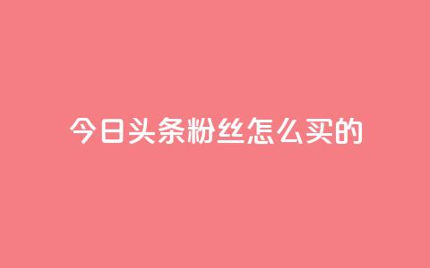今日头条粉丝怎么买的,1元3万粉丝 - 快手点赞自助平台有 卡盟卡密使用教程  第1张 今日头条粉丝怎么买的,1元3万粉丝 - 快手点赞自助平台有 卡盟卡密使用教程  第1张