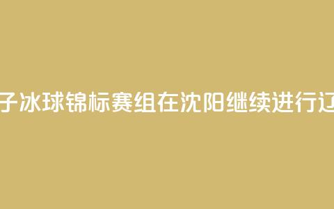 2024年全国青少年U系列女子冰球锦标赛U12组在沈阳继续进行 辽宁队0_1负广东队  第1张 2024年全国青少年U系列女子冰球锦标赛U12组在沈阳继续进行 辽宁队0_1负广东队  第1张