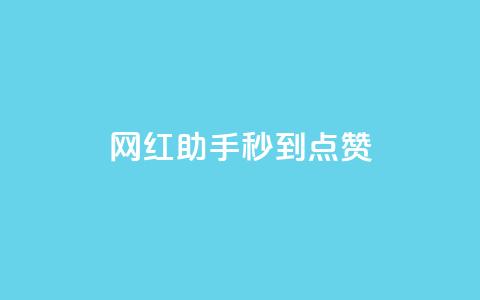 网红助手秒到点赞 - 网红助手快速获取点赞的秘密揭秘~  第1张 网红助手秒到点赞 - 网红助手快速获取点赞的秘密揭秘~  第1张