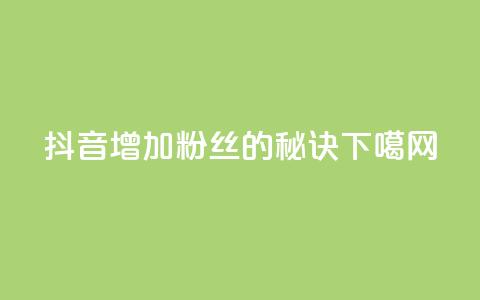 抖音增加粉丝的秘诀  第1张 抖音增加粉丝的秘诀  第1张