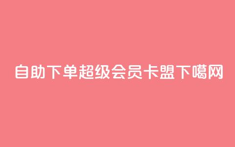 qq自助下单 - 超级会员卡盟  第1张 qq自助下单 - 超级会员卡盟  第1张