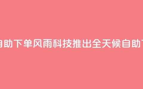 风雨科技24小时自助下单 - 风雨科技推出全天候自助下单服务。  第1张