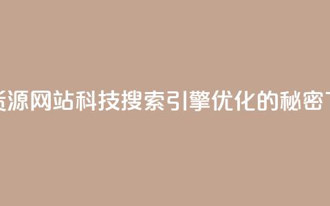 低价货源网站科技：搜索引擎优化的秘密  第1张