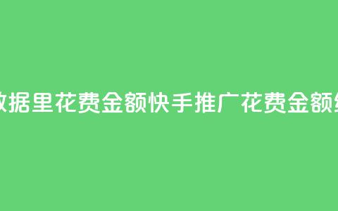 快手推广消耗数据里花费金额 - 快手推广花费金额统计数据。  第1张