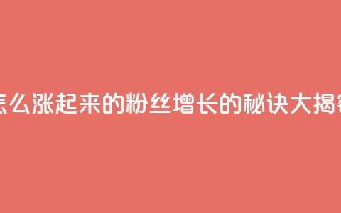 粉丝是怎么涨起来的(粉丝增长的秘诀大揭密)  第1张 粉丝是怎么涨起来的(粉丝增长的秘诀大揭密)  第1张