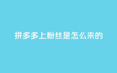 拼多多上粉丝是怎么来的,qq空间访客业务 - 拼多多转盘助力网站 拼多多怎么买人助力  第1张 拼多多上粉丝是怎么来的,qq空间访客业务 - 拼多多转盘助力网站 拼多多怎么买人助力  第1张