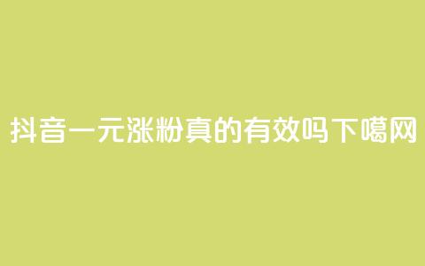 抖音一元涨粉真的有效吗?  第1张 抖音一元涨粉真的有效吗?  第1张