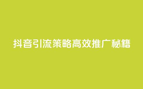 抖音引流策略:高效推广秘籍  第1张 抖音引流策略:高效推广秘籍  第1张