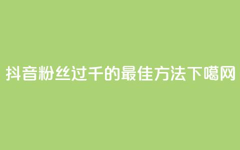 抖音粉丝过千的最佳方法  第1张 抖音粉丝过千的最佳方法  第1张