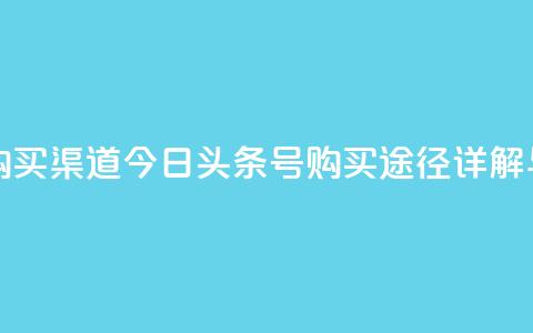 今日头条号购买渠道 - 今日头条号购买途径详解与指南!  第1张 今日头条号购买渠道 - 今日头条号购买途径详解与指南!  第1张
