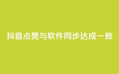 抖音点赞与软件同步达成一致  第1张 抖音点赞与软件同步达成一致  第1张