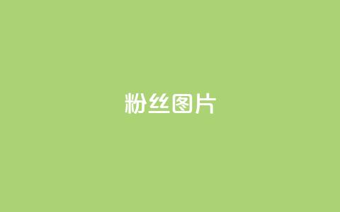 粉丝图片,卡盟影视卡盟 - 拼多多自助下单24小时平台 拼多多幸运大转盘秘诀  第1张 粉丝图片,卡盟影视卡盟 - 拼多多自助下单24小时平台 拼多多幸运大转盘秘诀  第1张
