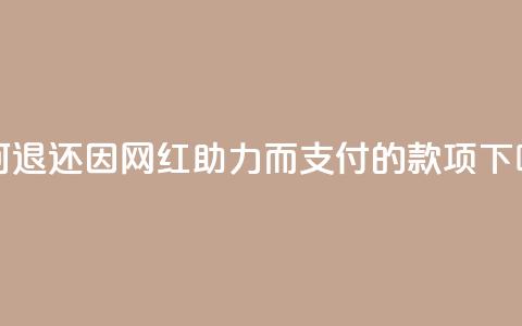 如何退还因网红助力而支付的款项  第1张 如何退还因网红助力而支付的款项  第1张