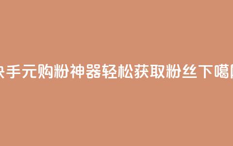 快手10元购粉神器	，轻松获取1000粉丝  第1张