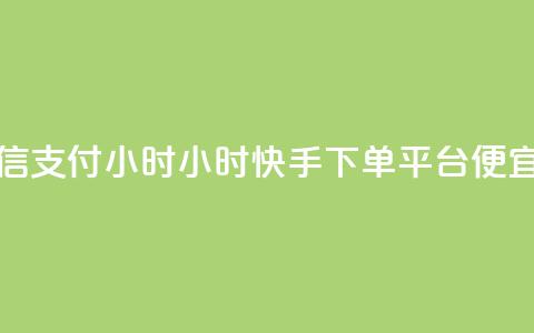 快手微信支付24小时 - 24小时快手下单平台便宜  第1张 快手微信支付24小时 - 24小时快手下单平台便宜  第1张