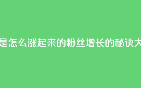 粉丝是怎么涨起来的(粉丝增长的秘诀大揭密)  第1张 粉丝是怎么涨起来的(粉丝增长的秘诀大揭密)  第1张