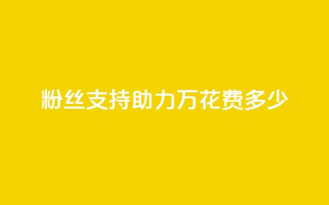 粉丝支持助力 100万，花费多少？  第1张