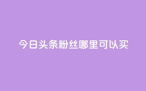 今日头条粉丝哪里可以买 - 今日头条粉丝购买渠道指南。  第1张