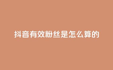 抖音有效粉丝是怎么算的 - 抖音有效粉丝如何计算及其影响因素解析!  第1张 抖音有效粉丝是怎么算的 - 抖音有效粉丝如何计算及其影响因素解析!  第1张