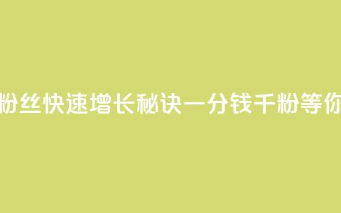 抖音粉丝快速增长秘诀，一分钱千粉等你来抢  第1张