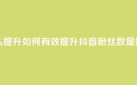 抖音有效粉丝怎么提升 - 如何有效提升抖音粉丝数量技巧大揭秘~  第1张 抖音有效粉丝怎么提升 - 如何有效提升抖音粉丝数量技巧大揭秘~  第1张