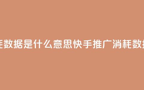 快手推广消耗数据是什么意思 - 快手推广消耗数据解析!  第1张 快手推广消耗数据是什么意思 - 快手推广消耗数据解析!  第1张