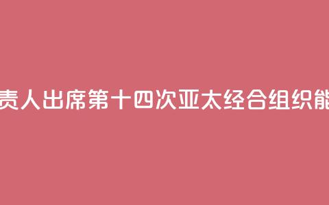 中国国家能源局负责人出席第十四次亚太经合组织能源部长会议  第1张 中国国家能源局负责人出席第十四次亚太经合组织能源部长会议  第1张