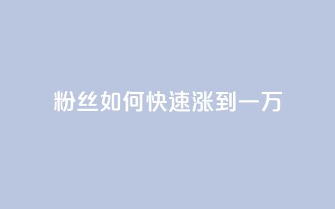 粉丝如何快速涨到一万,卡盟会员钻 - 拼多多低价助力 拼多多转盘助力50  第1张 粉丝如何快速涨到一万,卡盟会员钻 - 拼多多低价助力 拼多多转盘助力50  第1张