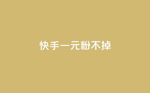 快手一元10000粉不掉 - 快手10000粉丝仅需1元，零掉粉保证。  第1张
