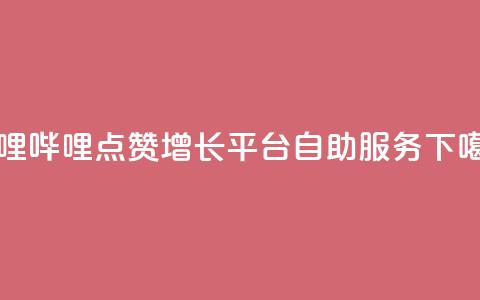 哔哩哔哩点赞增长平台自助服务  第1张 哔哩哔哩点赞增长平台自助服务  第1张