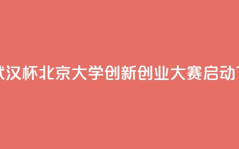 首届“武汉杯”北京大学创新创业大赛启动  第1张