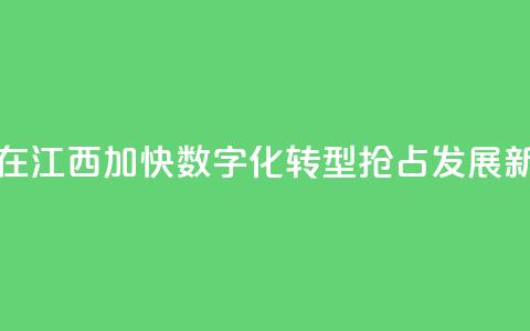 台商在江西:加快数字化转型 抢占发展新赛道  第1张 台商在江西:加快数字化转型 抢占发展新赛道  第1张