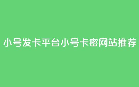 ks小号发卡平台(KS小号卡密网站推荐)  第1张 ks小号发卡平台(KS小号卡密网站推荐)  第1张