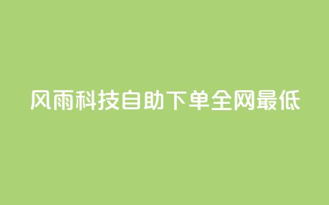 风雨科技自助下单全网最低 - 风雨科技自助下单，价格最低，全网首选!  第1张