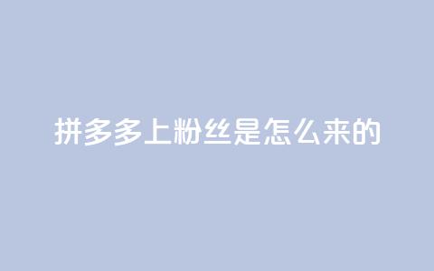 拼多多上粉丝是怎么来的 - 免费快手播放量平台  第1张 拼多多上粉丝是怎么来的 - 免费快手播放量平台  第1张