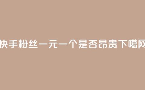 快手粉丝一元一个是否昂贵?  第1张 快手粉丝一元一个是否昂贵?  第1张