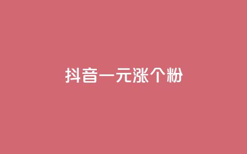 抖音一元涨1个粉 - 抖音粉丝一元增值的秘密揭晓!  第1张 抖音一元涨1个粉 - 抖音粉丝一元增值的秘密揭晓!  第1张