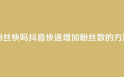 抖音涨粉丝快吗 - 抖音快速增加粉丝数的方法!  第1张 抖音涨粉丝快吗 - 抖音快速增加粉丝数的方法!  第1张