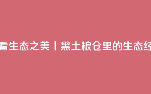 看生态之美丨黑土粮仓里的生态经  第1张 看生态之美丨黑土粮仓里的生态经  第1张