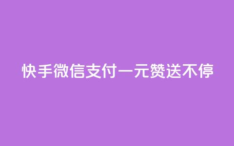 快手微信支付:一元赞送不停  第1张 快手微信支付:一元赞送不停  第1张