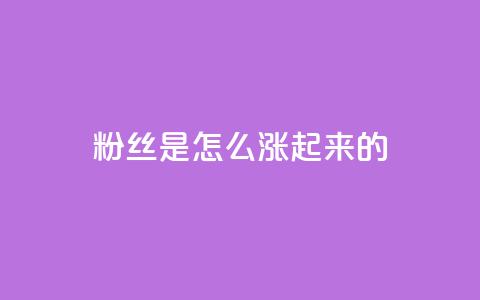 粉丝是怎么涨起来的,qq空间点赞自助 - qq空间说说刷转发数量 qq自助平台全网最低  第1张 粉丝是怎么涨起来的,qq空间点赞自助 - qq空间说说刷转发数量 qq自助平台全网最低  第1张