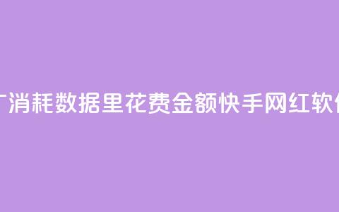 快手推广消耗数据里花费金额 - 快手网红软件  第1张 快手推广消耗数据里花费金额 - 快手网红软件  第1张