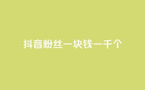 抖音粉丝一块钱一千个 - 抖音粉丝仅需一元获取千人关注秘诀揭秘!  第1张 抖音粉丝一块钱一千个 - 抖音粉丝仅需一元获取千人关注秘诀揭秘!  第1张
