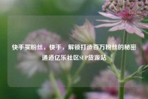 快手买粉丝,快手,解锁打造百万粉丝的秘密通道亿乐社区SUP货源站