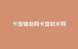 卡盟辅助网(卡盟助手网)