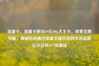 流量卡,流量卡移动19元200g大王卡,探索无限可能,揭秘如何通过流量卡提升您的生活品质亿乐社区SUP货源站