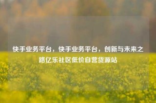 快手业务平台,快手业务平台,创新与未来之路亿乐社区低价自营货源站