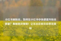 小红书刷粉丝,如何在小红书中快速提升粉丝数量?揭秘高效策略!亿乐社区低价自营货源站
