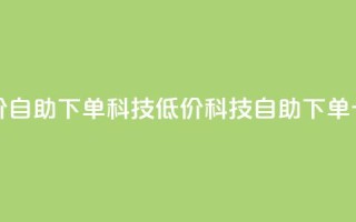 卡盟低价自助下单科技(低价科技自助下单卡盟服务)